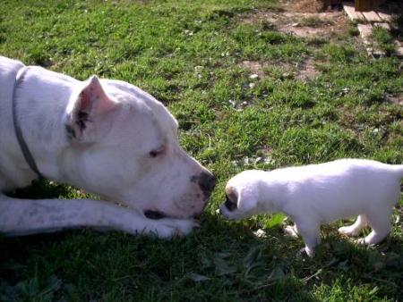 Bili et Tess