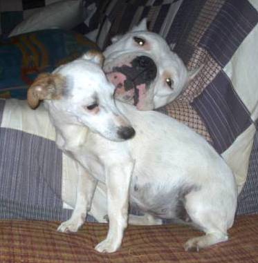 VIRGULE et TESS