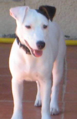 CHARLY